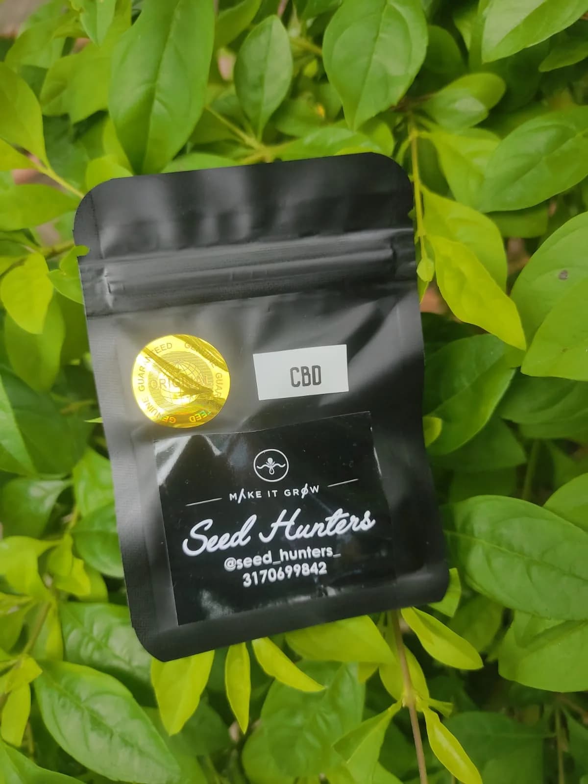 CBD